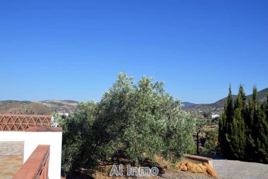 Las Palmeras - Ein Stueck Vom Paradies - Behagliches Haus Mit Pool Algodonales Extérieur photo